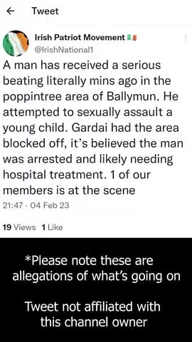 Irish men brutally beat invader migrant that groped an underage Irish girl