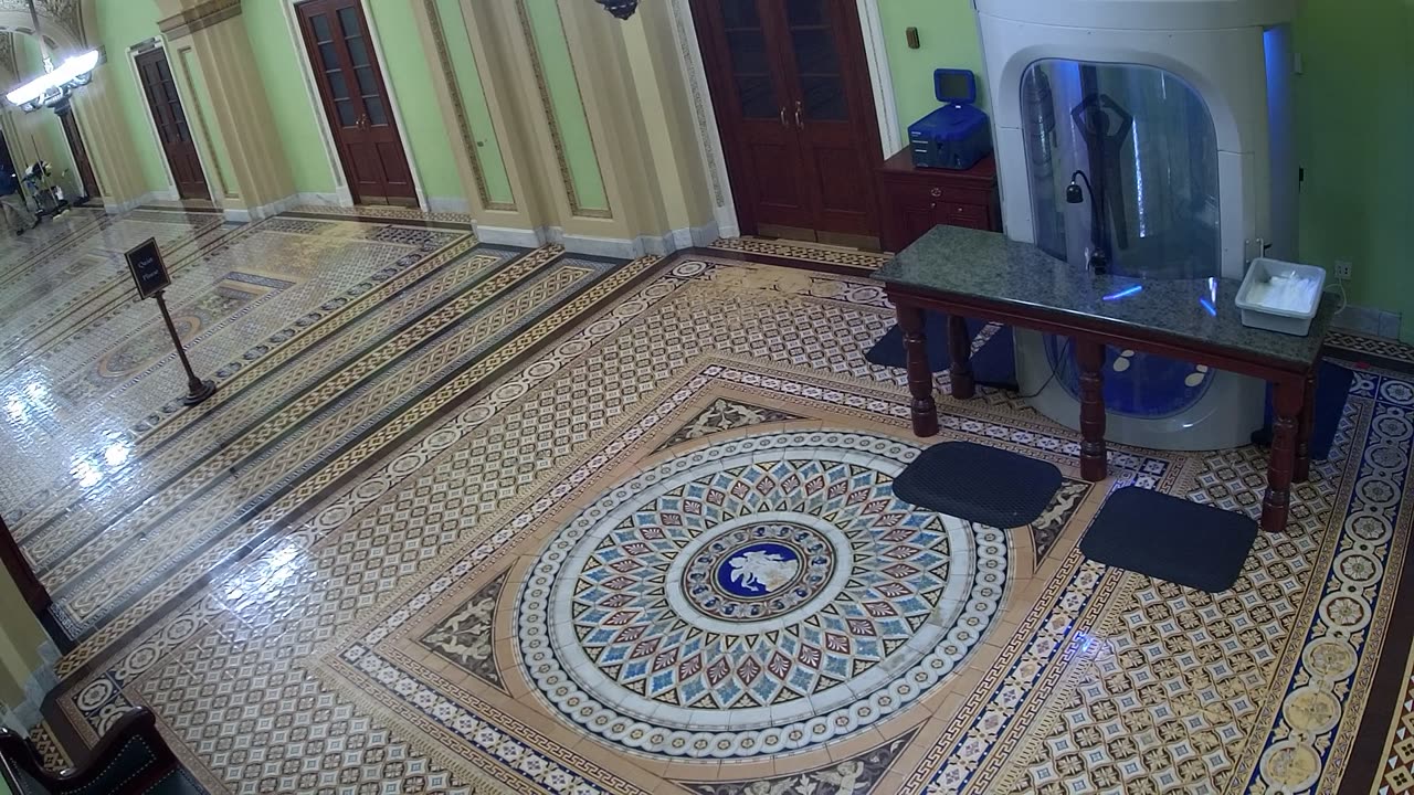 0303USCS03SenateGallerySEnearS309_2021-01-06_02h58min02s887ms.mp4
