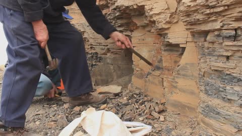 ニース発見！世界最古の小屋はここだった