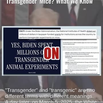 Fact Check: Did President Trump Mistake 'Transgenic' Rodents For 'Transgender' Mice?