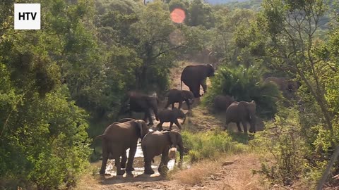 The Future of Eco-Friendly Tourism