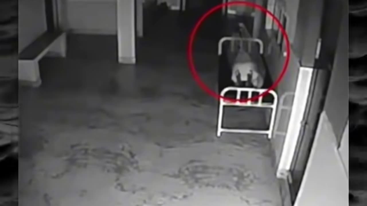 😱👻 This Will Give You Chills! Creepy Paranormal Encounters Captured! | TheHauntingHour