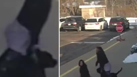 The eternal plague of the black parasites.