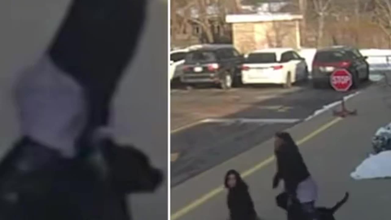 The eternal plague of the black parasites.