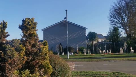 Royal Blue MURDER New Years Day Find