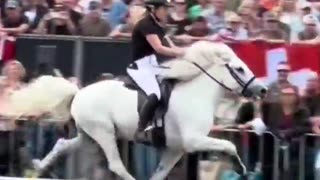Some horses can run like a human
