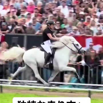 Some horses can run like a human