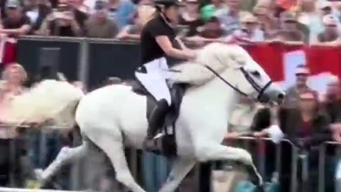 Some horses can run like a human