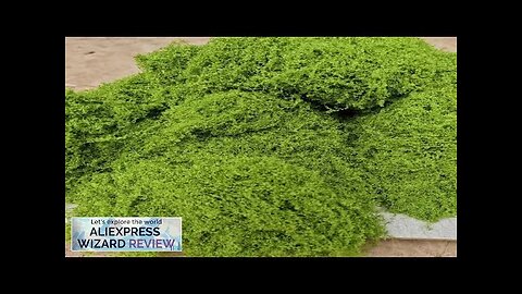 30g Fake Moss Artificial Green Moss for Potted Plants Fairy Garden Accessories Review