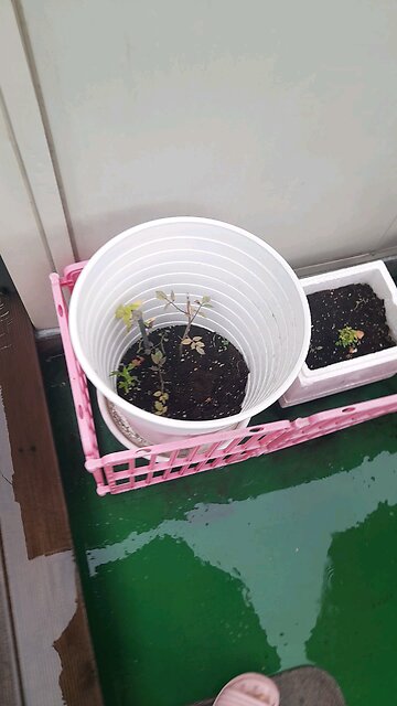 20251010. Jesus Christ