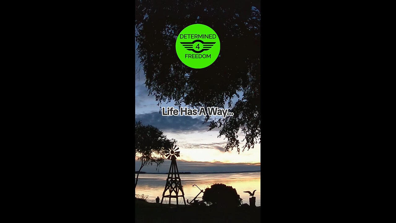 Life Has A Way...