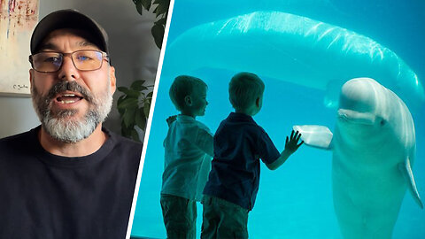 Marineland whistleblower uncovers plot to euthanize beluga whales