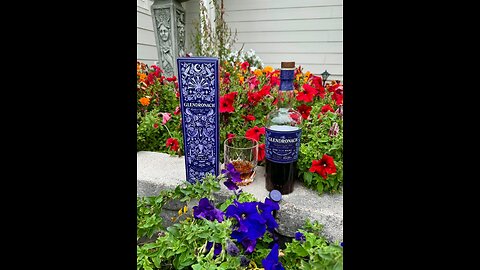 Scotch Hour Episode 229 Glendronach Ode To The Dark & The Skulls Movie Review