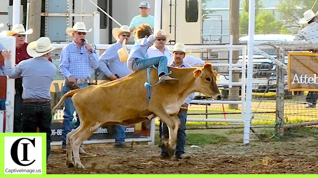 Calf Riding - 2024 White Deer Rodeo