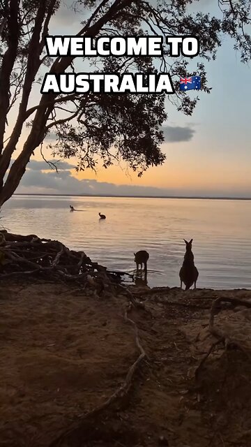 Welcome to Australia