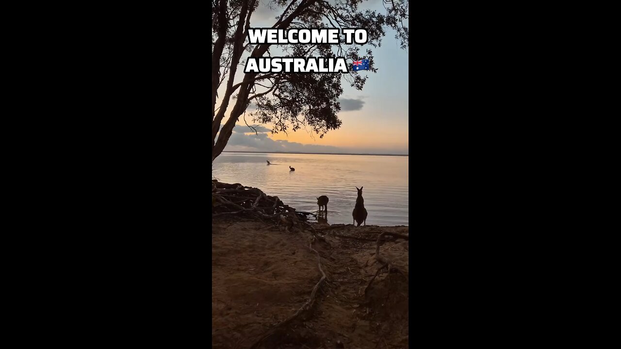Welcome to Australia