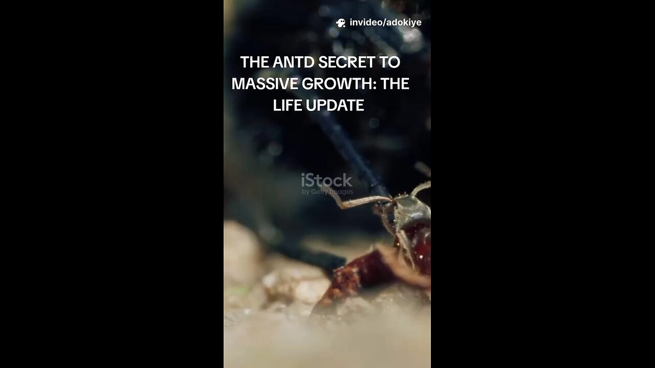 THE ANTS SECRET TO MASSIVE GROWTH: THE LIFE UPDATE