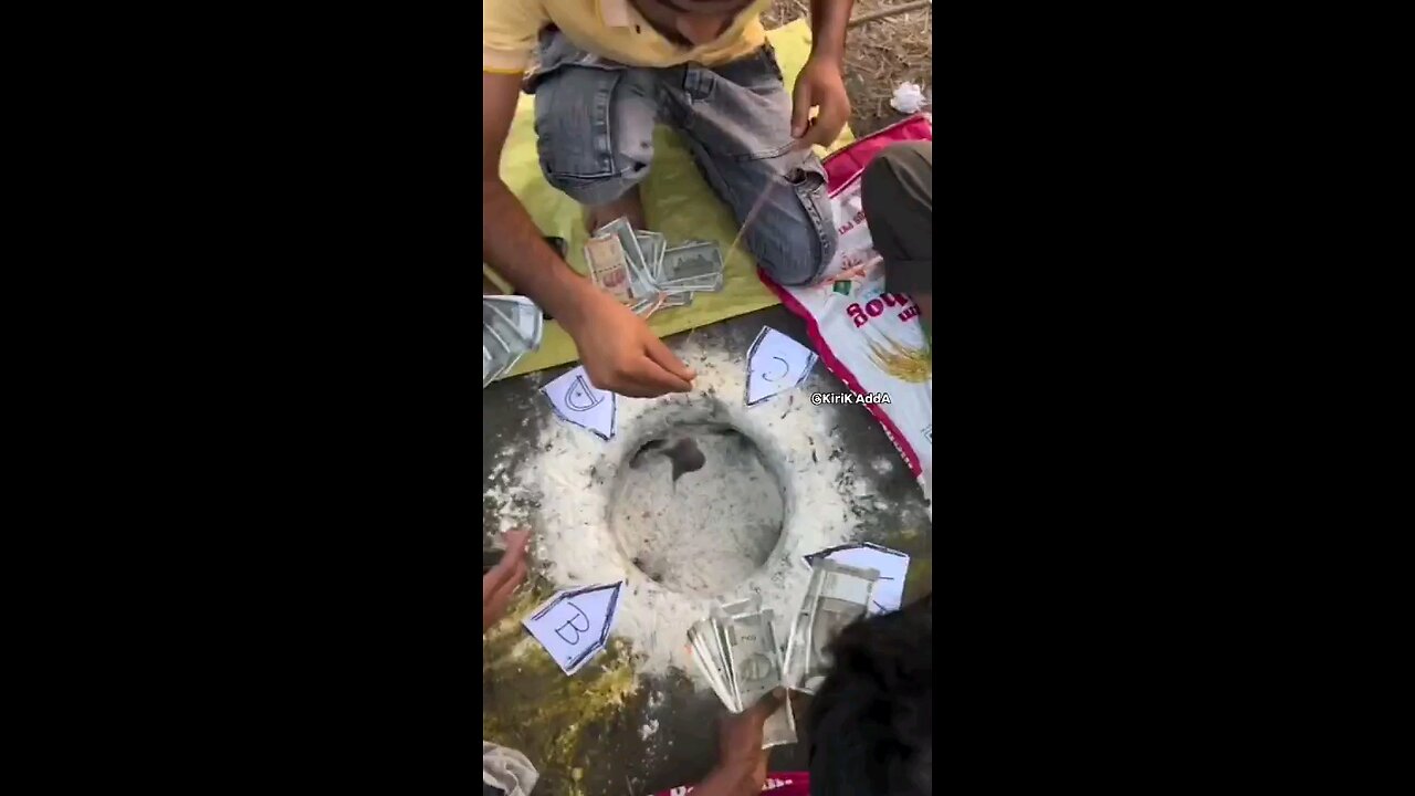 👆🎥 *_#अब जुआ खेलने की ये तकनीक ही देख लो।_* 🙆🏻‍♂️ 🅱️😈🫣🤣😍😆😆🤟