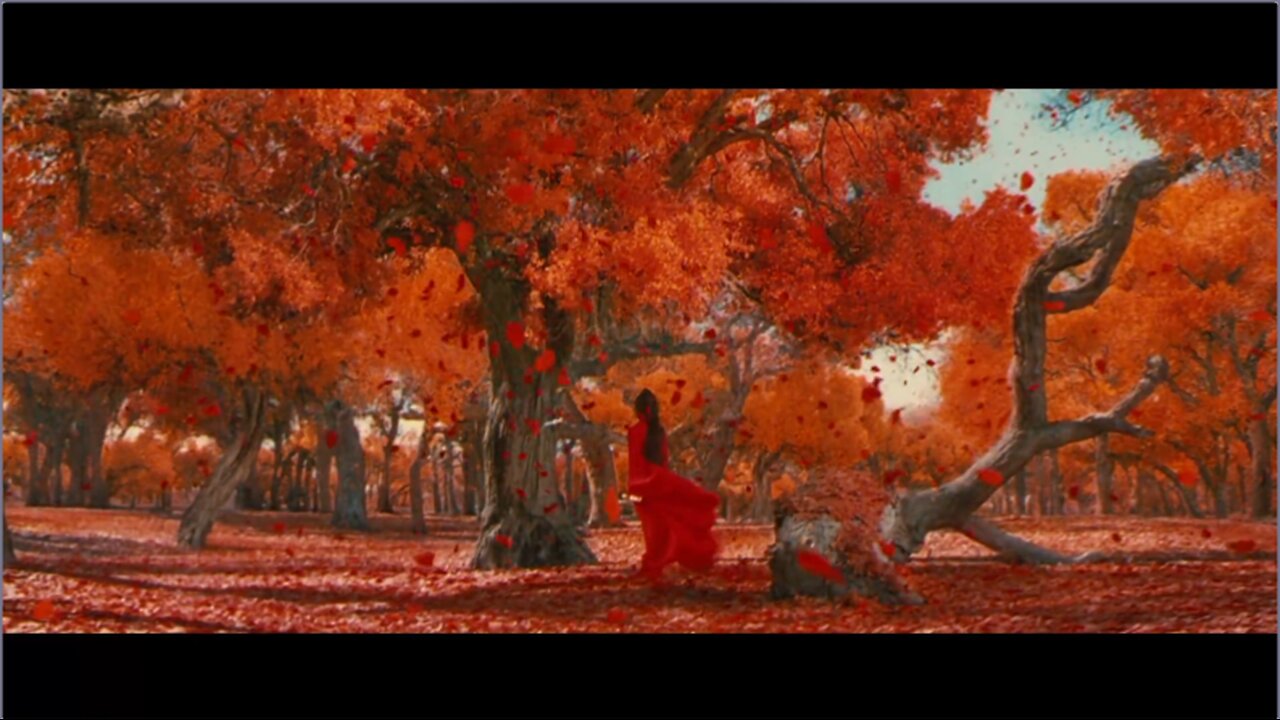 For Dreams, for Magic, for Truth, and for Freedom.