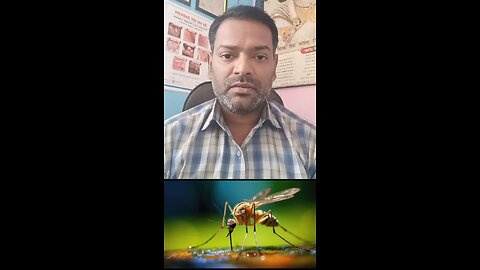 डेंगू मच्छर किस में पनपता है ।