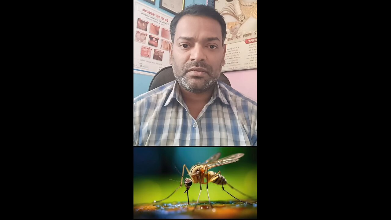 डेंगू मच्छर किस में पनपता है ।