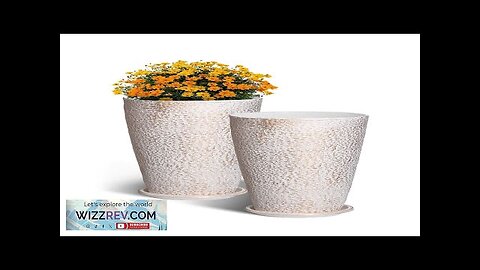 Tall Planter Set of 2 Round Tapered Plant Pots 21 in Review