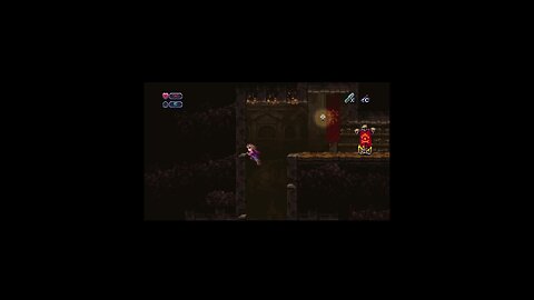 the second boss fight in Chasm