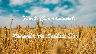 Stop in the Name of God