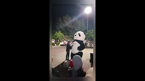 cutie panda