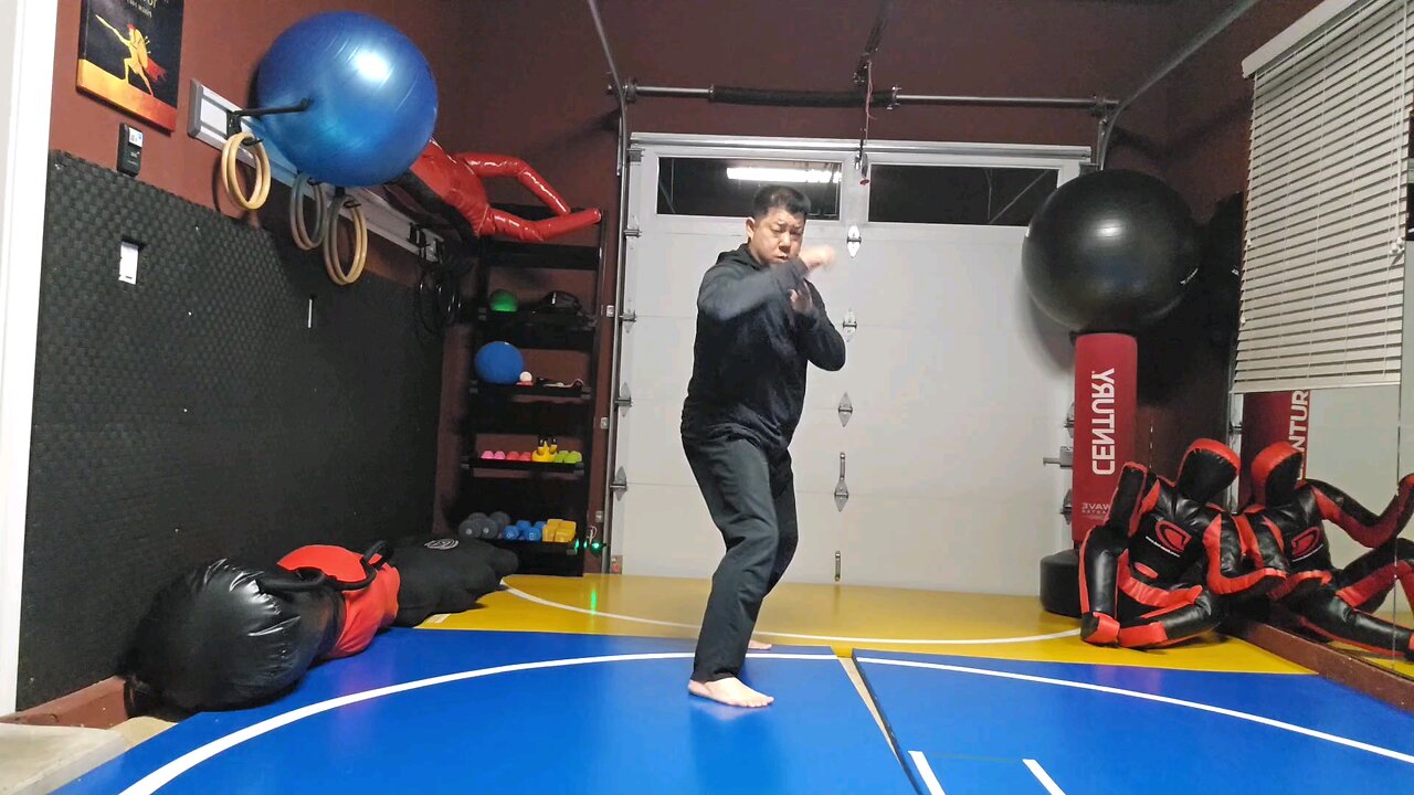 WTD 2 Step Kick Combination 41