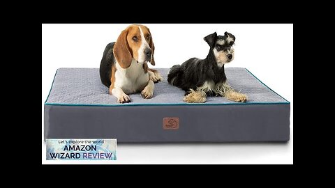 Bedsure Orthopedic Dog Bed for Large Dogs Memory Foam 2-Layer Thick Review