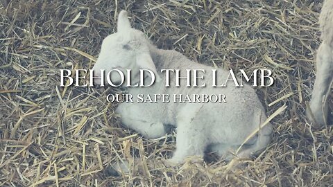 Sunday Worship: Behold the Lamb (1-5-25)
