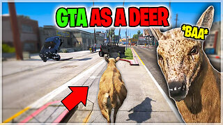 🔴ANIMAL TROLLING ON GTA 5 RP!!