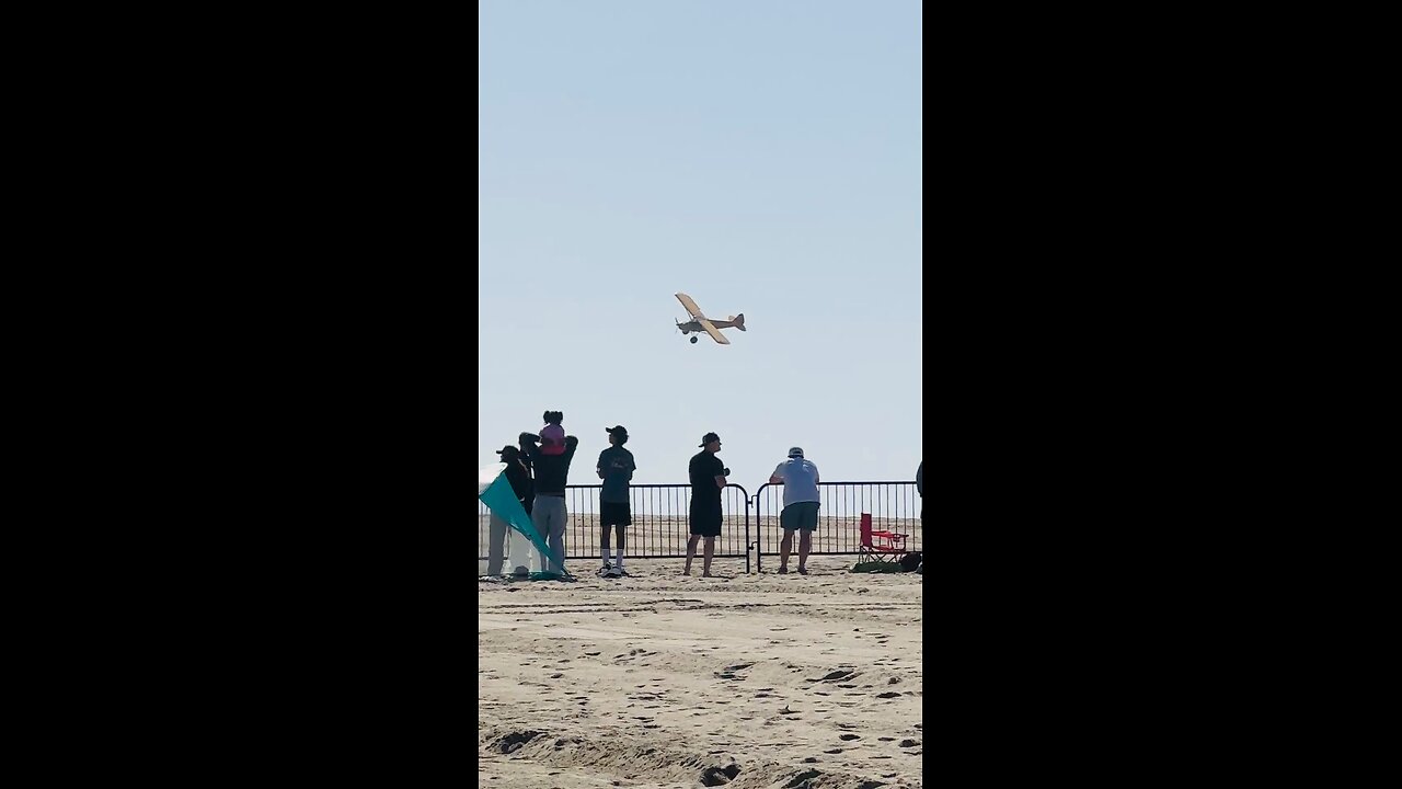 When seagulls cause a go around