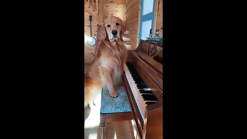 I taught Beethoven everything he Knows..