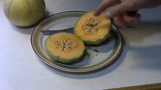 Charentais Melon Review and Taste Test - Grown on a Trellis.