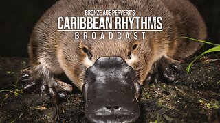 Ep 112 "Samuel Huntington Dorks" • Caribbean Rhythms w/ Bronze Age Pervert