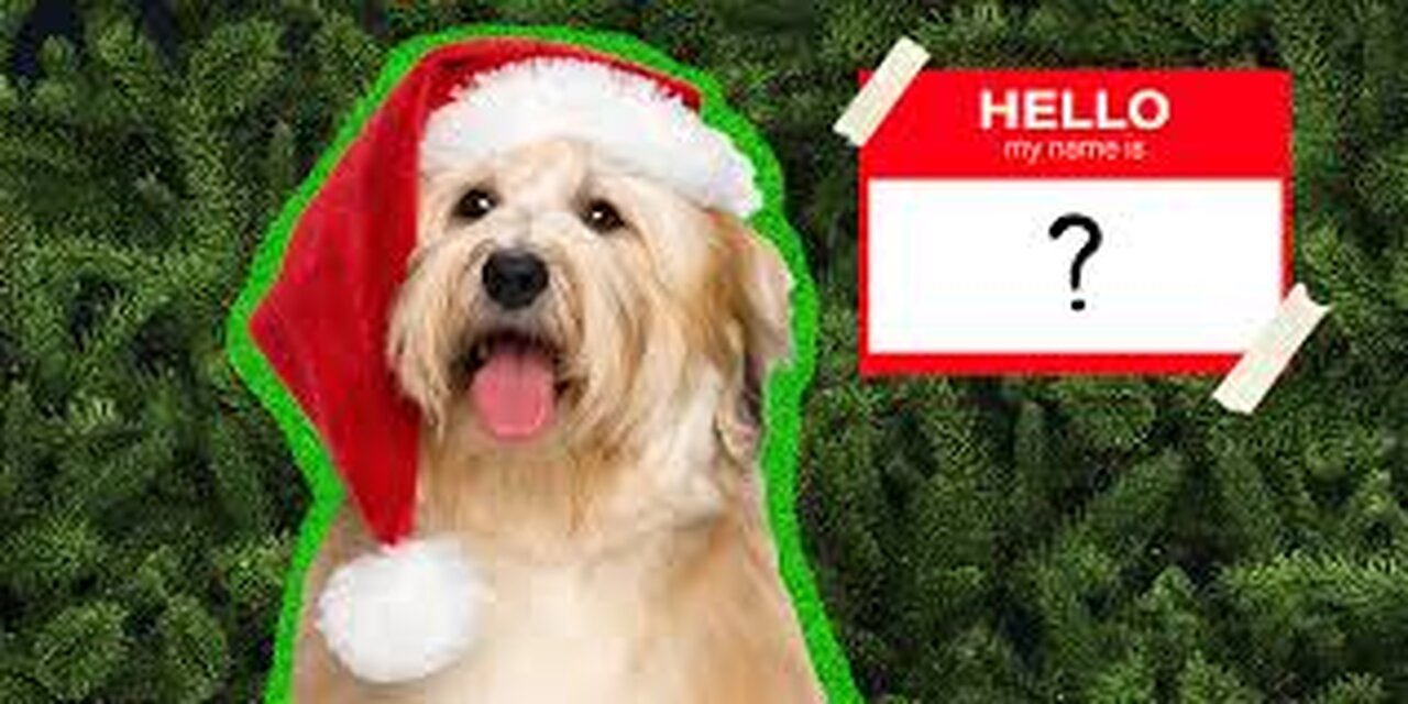 you can change that name