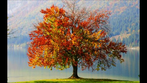 BEDTIME BIBLE CHAT: Ecclesiastes 12:TIME IS SHORT