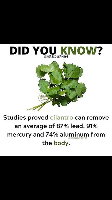 The difference between Rice & Quinoa...