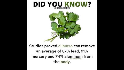 The difference between Rice & Quinoa...