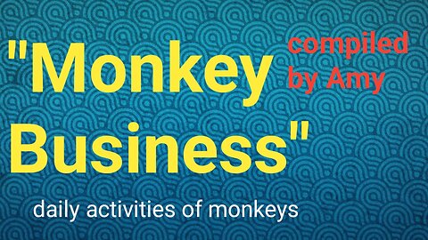 "Monkey Business" daily activities of monkeys" part 1 by Khalil