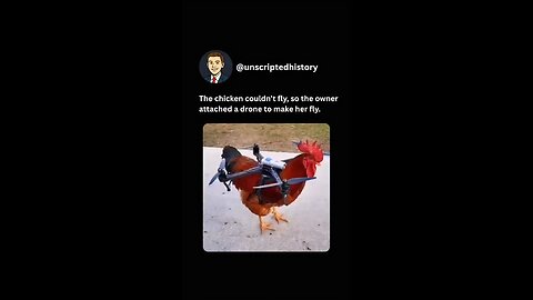 Fowl Play