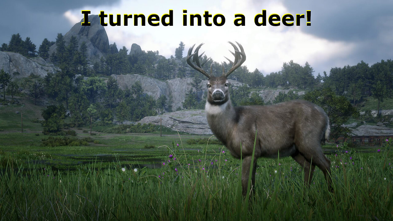 Red Dead 2 - I am a deer!