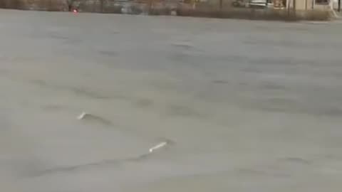 Alaska is floating, people stack in the houses floating in the waters