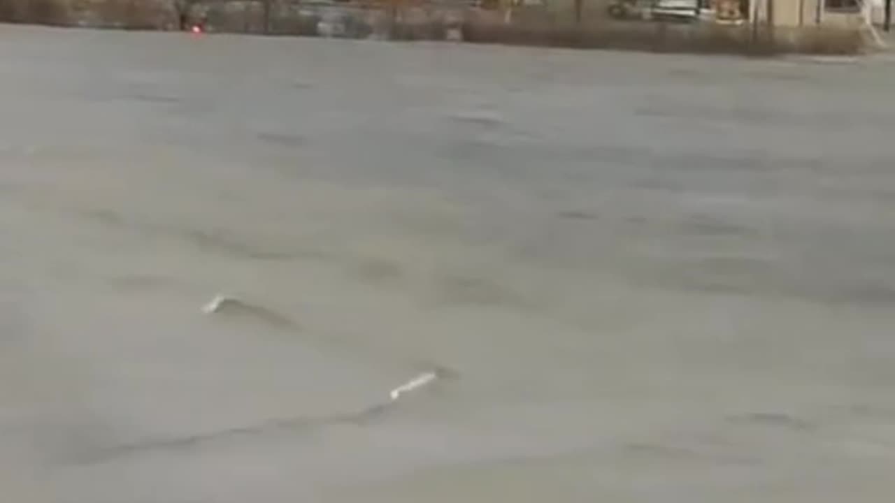 Alaska is floating, people stack in the houses floating in the waters