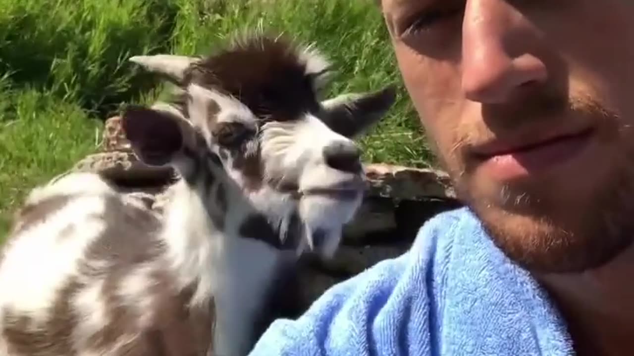🐐💬 Goat Won the Argument, Hands Down! | FunFM
