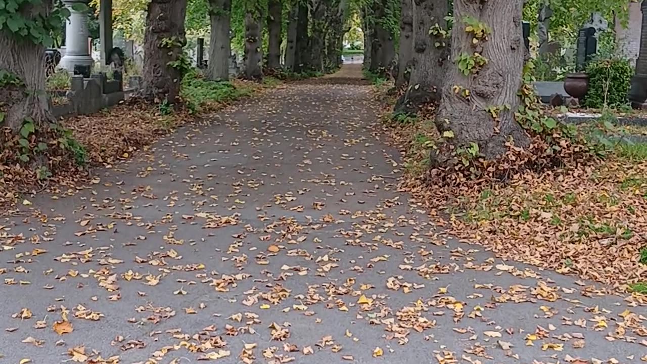 2day after stoping a woman being kidnapped I heard another was raped in the cemetery.