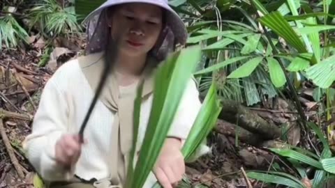 “Hunting ‘Sang Leaves’ Deep in Borneo’s Jungle to Make Traditional Cake”