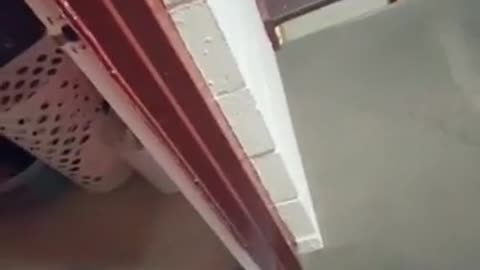 😱🏠 This Stalker's Behavior Will Give You Nightmares | TheHauntingHour